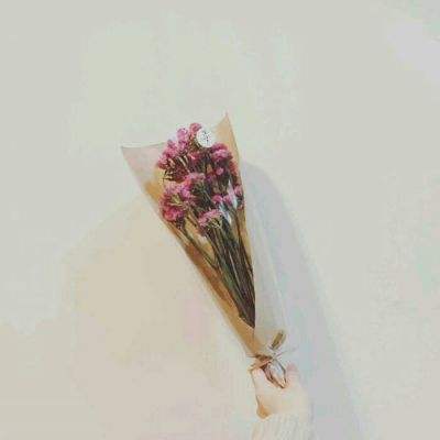 阿瓦贝尔战纪台服版下载