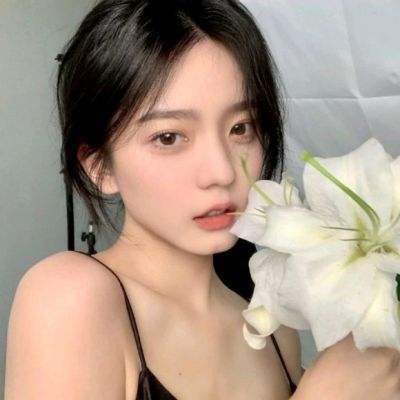 偶像模范生游戏下载